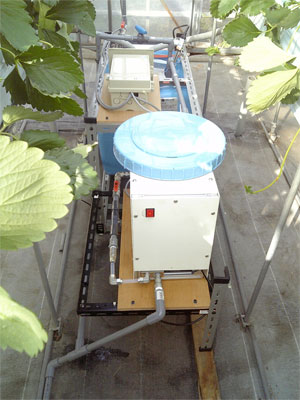 イチゴの水耕栽培実験装置
