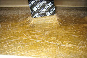 水耕栽培で成長が早いトマトの根