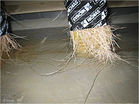 富竹貯水槽の写真