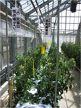 富竹貯水槽の写真