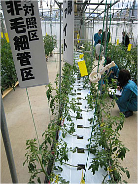 富竹貯水槽の写真