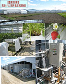 全農長野県本部高設いちご周年栽培実証施設
