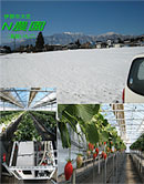 伊那市大芝N農園(高設いちご)