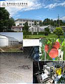 長野県富士見高等学校