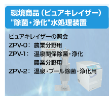 �����i�i�s���A�L���C�U�[�j"���ہE��"���������u